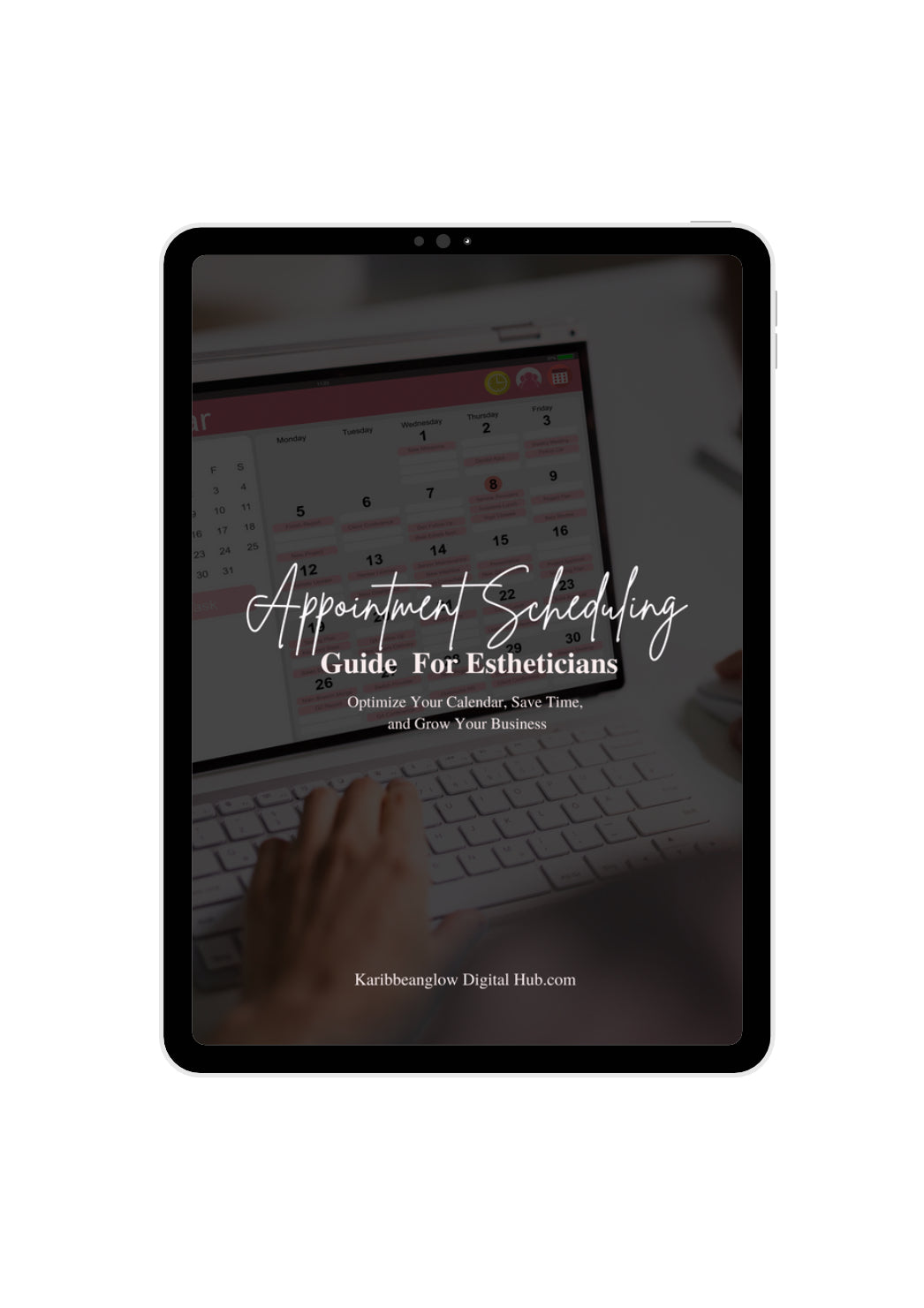 FREE APPOINTMENT SCHEDULING GUIDE FOR ESTHETICIANS- Optimize Your Calendar, Save Time, and Grow Your Business
